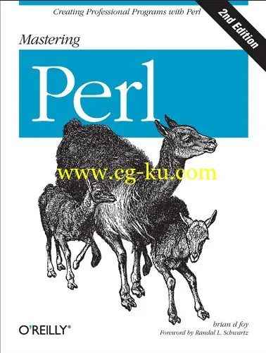 Mastering Perl-P2P的图片1