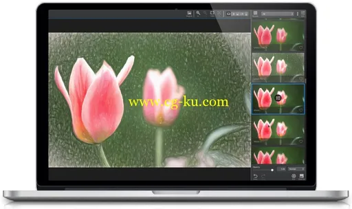 Topaz Impression 2.0.5 MacOSX的图片1