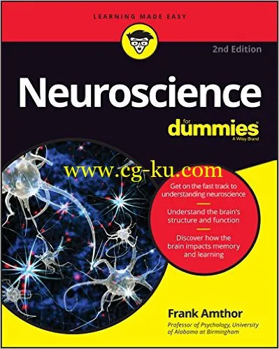 Neuroscience For Dummies-P2P的图片1