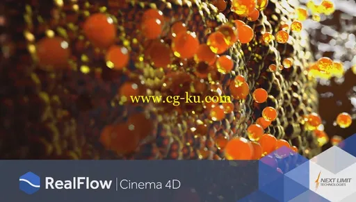 Nextlimit Realflow Cinema 4D v1.0.0 Win/Mac的图片1