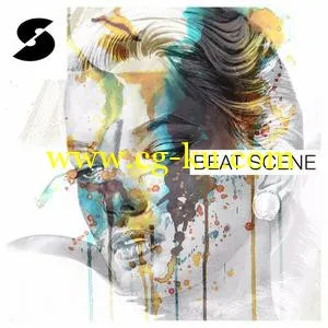 Samplephonics Beat Scene MULTiFORMAT的图片1