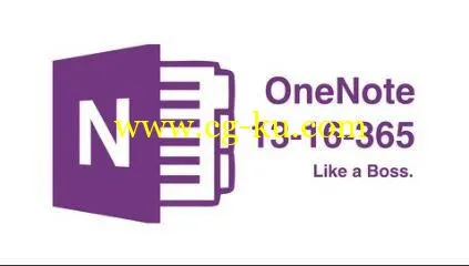 OneNote 2013/2016/365 – Like a Boss. The Definitive Course的图片1