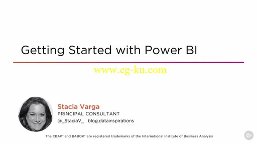 Getting Started with Power BI的图片1