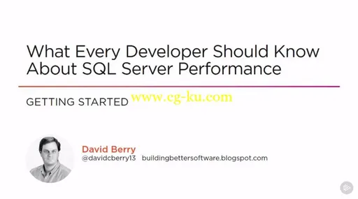 What Every Developer Should Know About SQL Server Performance的图片2