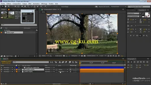 Les fondamentaux d’After Effects CC : Effets visuels et compositing 视觉效果和合成的图片2