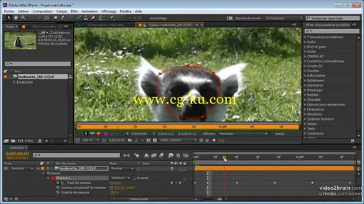 Les fondamentaux d’After Effects CC : Effets visuels et compositing 视觉效果和合成的图片3