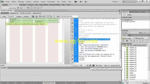 Dreamweaver CS6 : Les fondamentaux的图片3