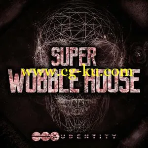 Audentity Super Wobble House WAV MiDi的图片1