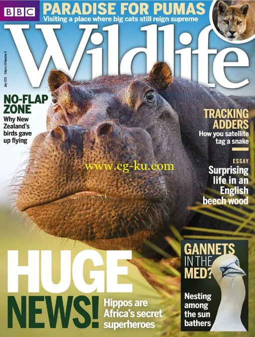 BBC Wildlife – July 2016-P2P的图片1