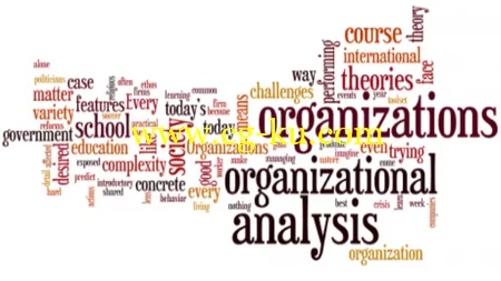 Coursera – Organizational Analysis的图片2