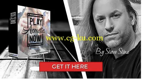 Guitar Zoom – Play Acoustic Now with Steve Stine (2016)的图片1