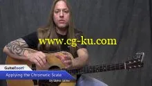 Guitar Zoom – Play Acoustic Now with Steve Stine (2016)的图片4