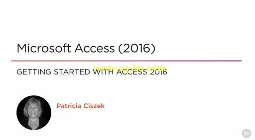 Microsoft Access (2016)的图片2