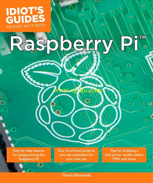 Idiot’s Guides: Raspberry Pi-P2P的图片1