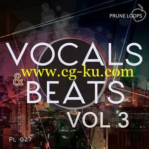 Prune Loops – Vocals & Beats Vol 3 WAV MiDi的图片1