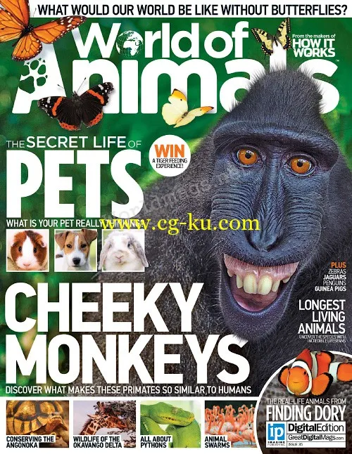 World of Animals – Issue 35, 2016-P2P的图片1