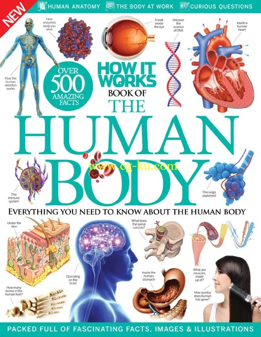 How It Works – Book Of The Human Body 7th Edition-P2P的图片1