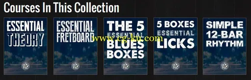 Texas Blues Alley: The Woodshed Lessons – The Essentials Collection的图片1