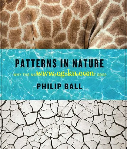 Patterns in Nature: Why the Natural World Looks the Way It Does-P2P的图片1