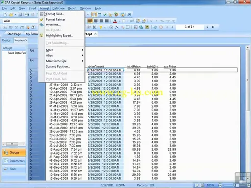 Infinite Skills – Learning SAP Crystal Reports 2011 Training Video的图片2