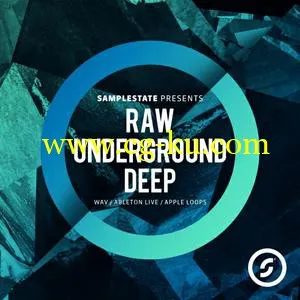 Samplestate Raw Underground Deep WAV REX的图片1