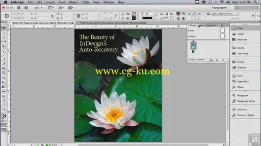 Adobe InDesign CS6 Tutorial – Beginners to Advanced Training的图片1