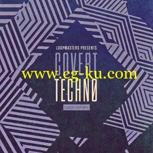 Loopmasters Covert Techno MULTiFORMAT的图片1