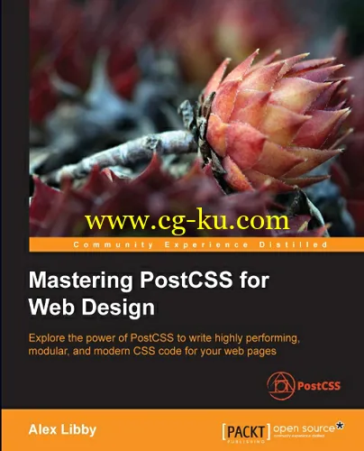 Mastering PostCSS for Web Design-P2P的图片1