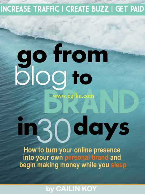 Go From Blog to Brand in 30 Days by Cailin Koy-P2P的图片1