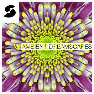 Samplephonics Ambient Dreamscapes MULTiFORMAT的图片1