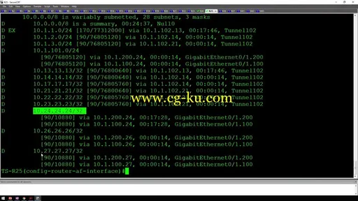 INE – CCIE Routing & Switching Graded Practice Lab #1 (July 11-12, 2016)的图片3