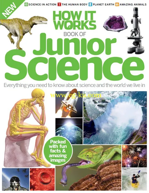 How It Works: Book Of Junior Science 5th Edition-P2P的图片1