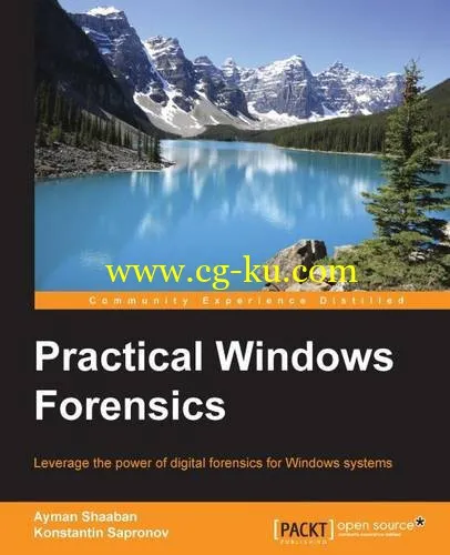 Practical Windows Forensics-P2P的图片1