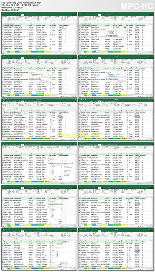 Lynda – Excel 2016: Managing and Analyzing Data的图片2