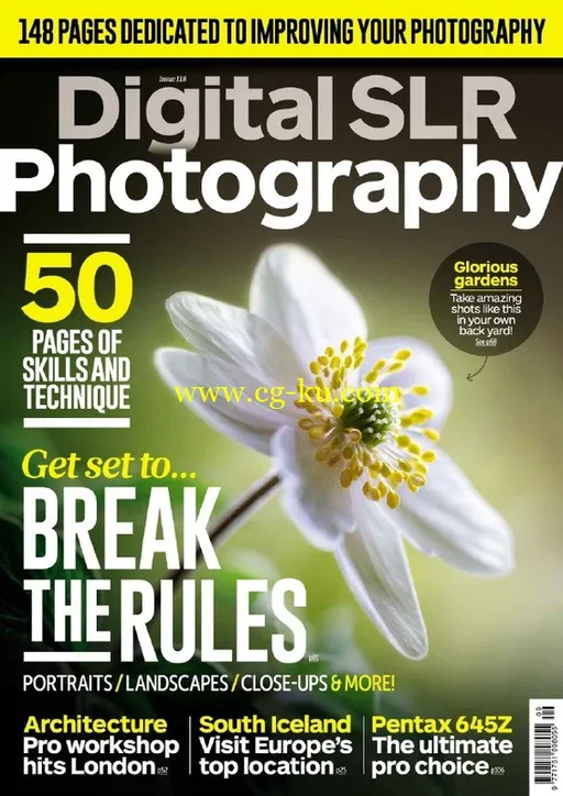 Digital SLR Photography – September 2016-P2P的图片1