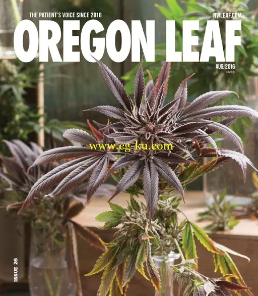 Oregon Leaf – August 2016-P2P的图片1