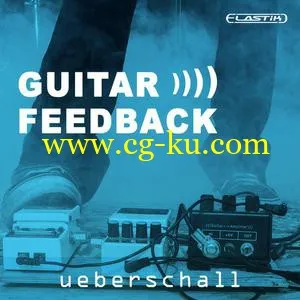 Ueberschall Guitar Feedback ELASTiK的图片1