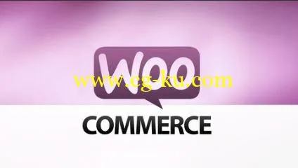 Learn How to Build an E-Commerce Website by WordPress (2016)的图片1