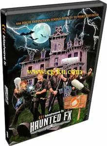 Blastwave FX Haunted FX Sound Effects Library WAV的图片1