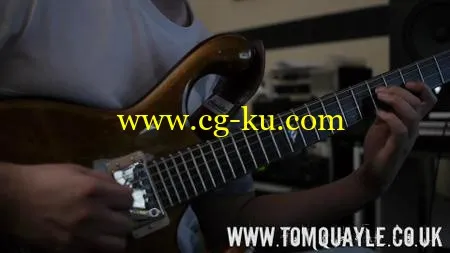 Tom Quayle – Visualizing The Fretboard (2016)的图片1