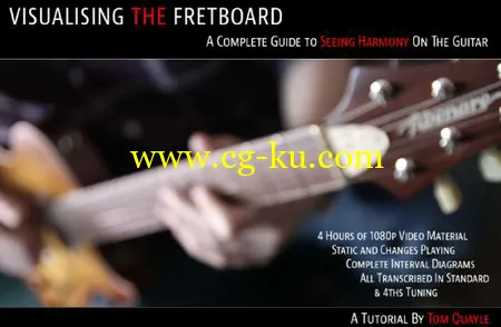 Tom Quayle – Visualizing The Fretboard (2016)的图片2