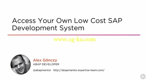 Access Your Own Low Cost SAP Development System (2016)的图片1