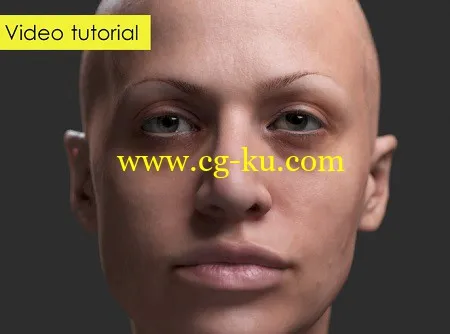 Gumroad – Josie Video Tutorial by Henrique Campanha的图片1