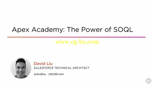 Apex Academy: The Power of SOQL (2016)的图片1