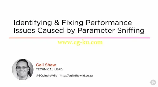 Identifying & Fixing Performance Issues Caused by Parameter Sniffing (2016)的图片1