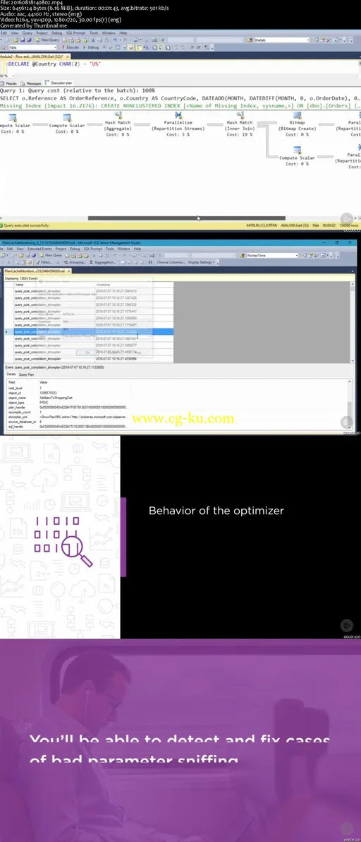 Identifying & Fixing Performance Issues Caused by Parameter Sniffing (2016)的图片2