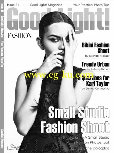 Good Light! – Issue 31 2016-P2P的图片1