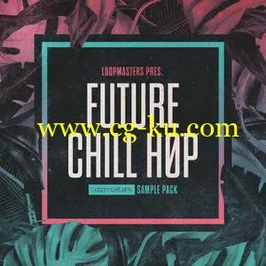 Loopmasters Future Chill Hop MULTiFORMAT的图片1