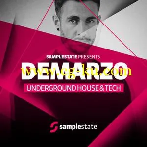 Samplestate Demarzo Underground House and Tech MULTiFORMAT的图片1