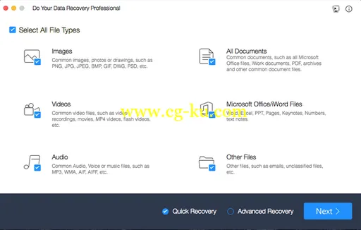 Do Your Data Recovery Professional 5.5 MacOSX的图片1